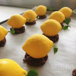 【東莞三月西點咖啡調酒培訓學校,現正火熱招生中!!】-