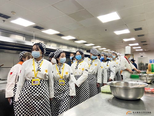 百強名企觀摩行 隆華國際酒店研學游如期而至,西點西餐學生參與