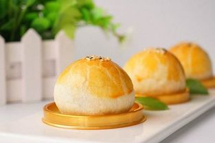 金領(lǐng)國際西點(diǎn)蛋糕培訓(xùn)學(xué)校