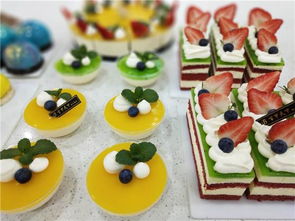 信陽西點培訓(xùn)學(xué)校學(xué)費及選擇指南